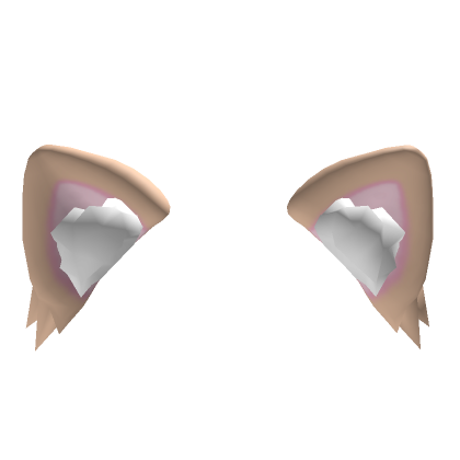 Cat ears transparent top