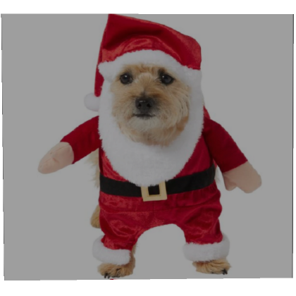 Roblox Item christmas santa dog profile picture