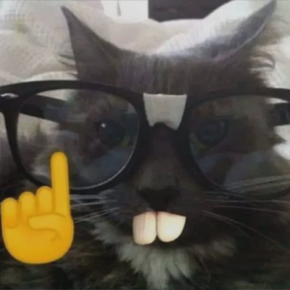 Cat Pfp | Roblox Item - Rolimon's