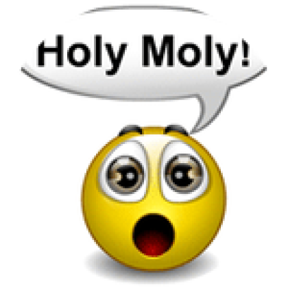 Holy Moly! Payment - Roblox