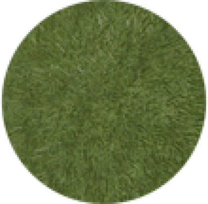 grass - Roblox