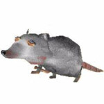 drag a dead rat across concrete simulator 🐀