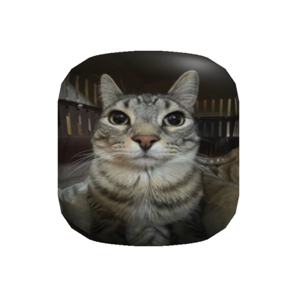 cat head - Roblox