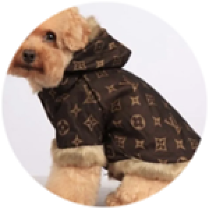 Louis Vuitton Dog Clothes Designer