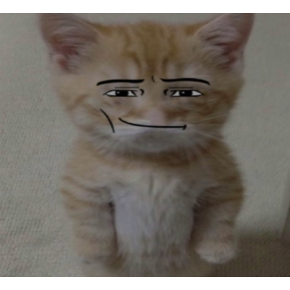 cat (profile picture) | Roblox Item - Rolimon's