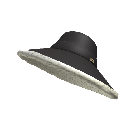 Roblox Item Black Wide Brim Hat