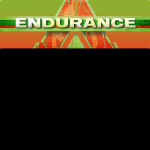 Endurance 3
