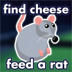 🧀find cheese to feed a rat