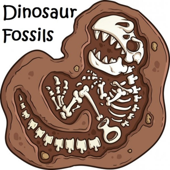 🦖 Dinosaurierfossilien 🦖