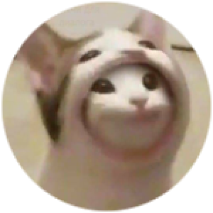 pop cat in pop cat - Roblox