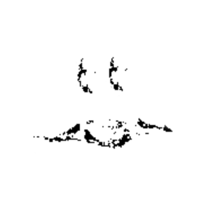 White Pixelated Scary Face