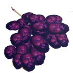 death grapes