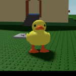 duck roleplay version 0.0.1(daily updates)