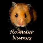 Hamster Simulator 2016 
