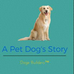A Pet Dog's Story | A Sad Story thumbnail