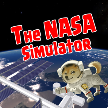 The Nasa Simulator