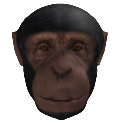 Mono - Roblox