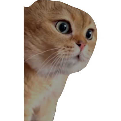 Chatting Cat Meme | Roblox Item - Rolimon's
