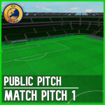 Public Match Pitch 1