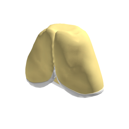 Blanket roblox shop