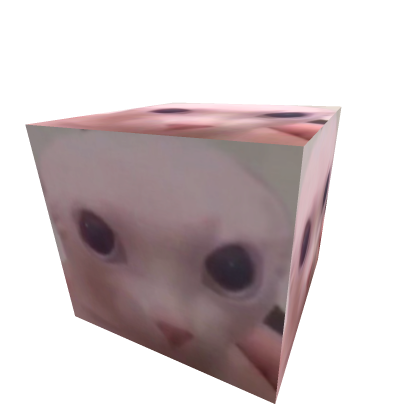 Bingus Cube