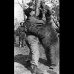 The Bear Who Went To War