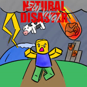 natural disaster 2