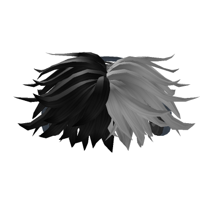 Yin Yang Hair w/ Headphones | Roblox Item - Rolimon's
