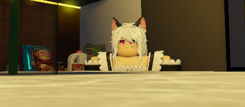 SUS CAT - Roblox