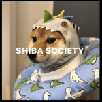 SHIBA SOCIETY BOOMBOX HANGOUT