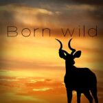 Born Wild: Savannah Testing