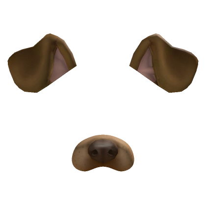 Dog filter hot sale