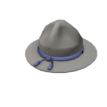 Scala top campaign hat