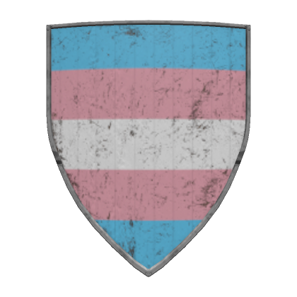 Pride Heater Shield: Trans
