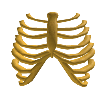 Free: T-shirt Rib cage Roblox Hoodie, T-shirt transparent background PNG  clipart 