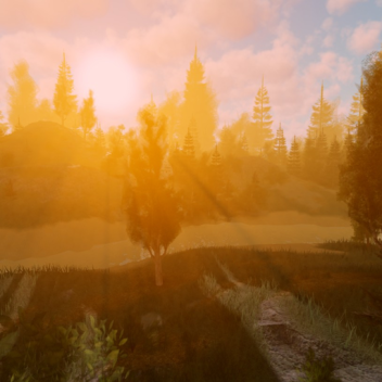 The Sunset Forest