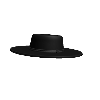 Roblox Item Classic Wide Brim Hat