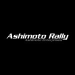 heavily unfinished race concept (Ashimoto Rally)