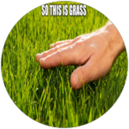 Grass - Roblox