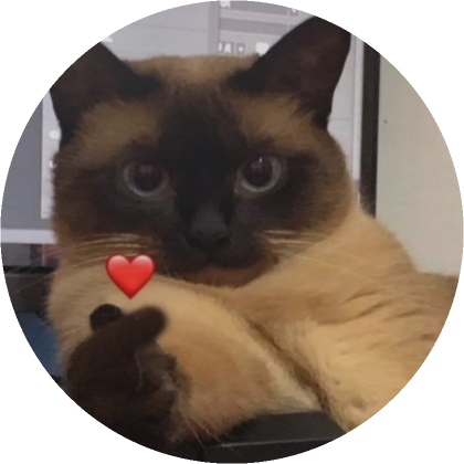 Cute Heart Cat PFP  Roblox Item - Rolimon's