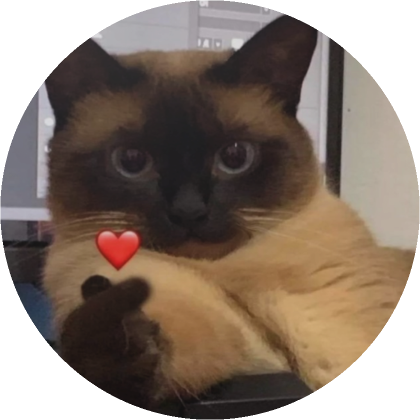 Cute Heart Cat PFP's Code & Price - RblxTrade