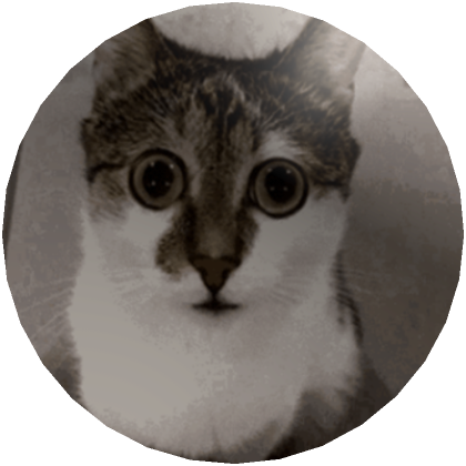 Staring Cat Profile | Roblox Item - Rolimon's