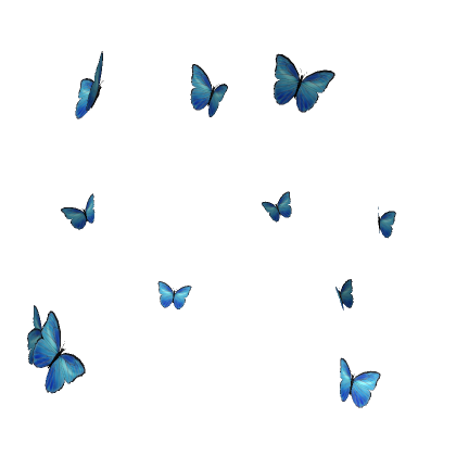 Roblox Item Blue Butterflies