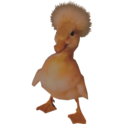 Duck with Man Face Buddy's Code & Price - RblxTrade