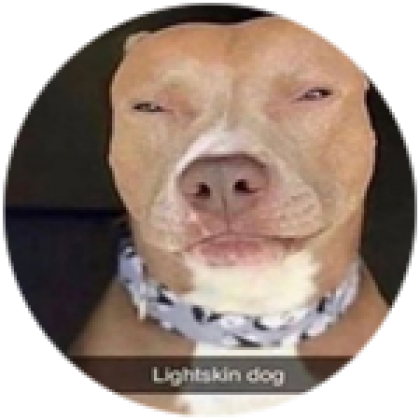 Light Skin Dog - Roblox