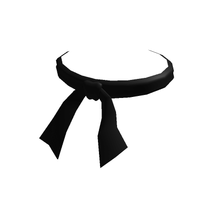 Ninja belt 2024