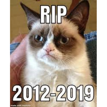 RIP GRUMPY CAT [Rest in Peace]