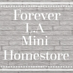 Forever L.A  Mini Homestore