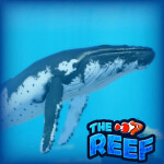 THE REEF - Shark, Fish, Dolphin RP
