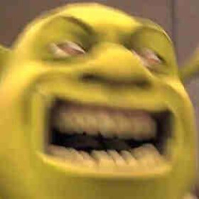 Sherk + roblox man face 😮‍💨  Shrek funny, Roblox funny, Male face